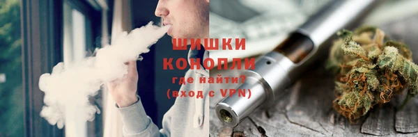 соль ск Алексин