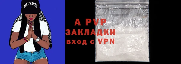 a pvp Алзамай