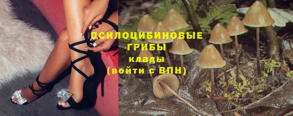 a pvp Алзамай