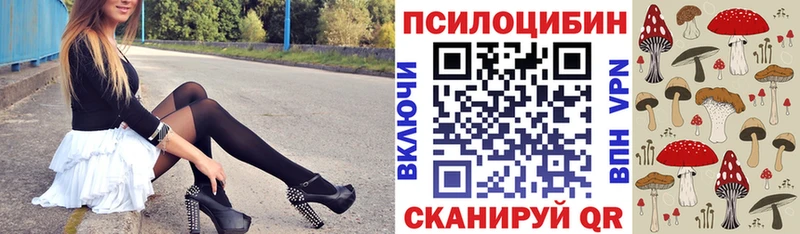 Псилоцибиновые грибы прущие грибы  Тотьма 